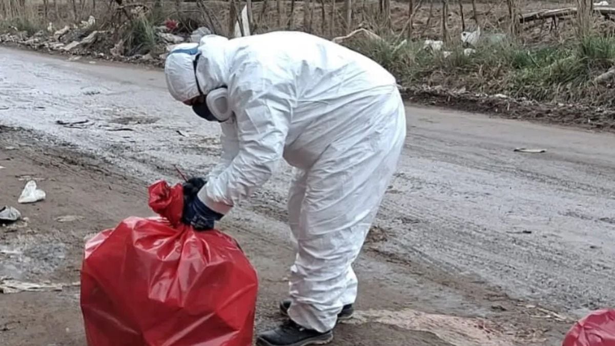 El barrio que amaneció con más de cien kilos de carne podrida abandonados en plena calle