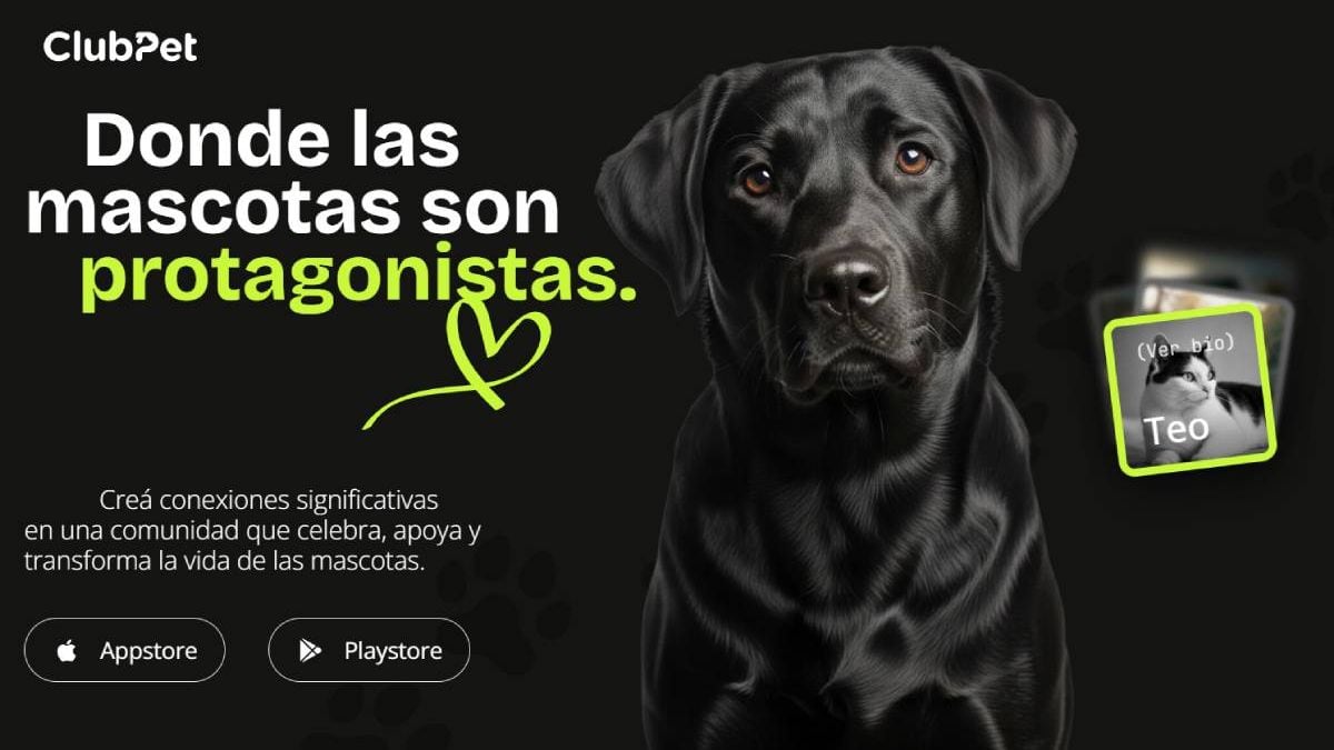 Una noche en el Club Pacífico para llevarse un amigo a casa y, de paso, descargar la app que quiere juntar todo lo de la mascota en un solo lugar