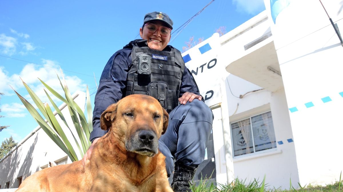 Puchero, el perro que lleva más de una década custodiando las bicis de la Policía de Neuquén
