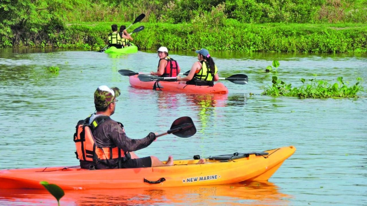 A 2.700 kilómetros de Río Gallegos, la laguna Setúbal se navega en kayak entre flamencos y carpinchos
