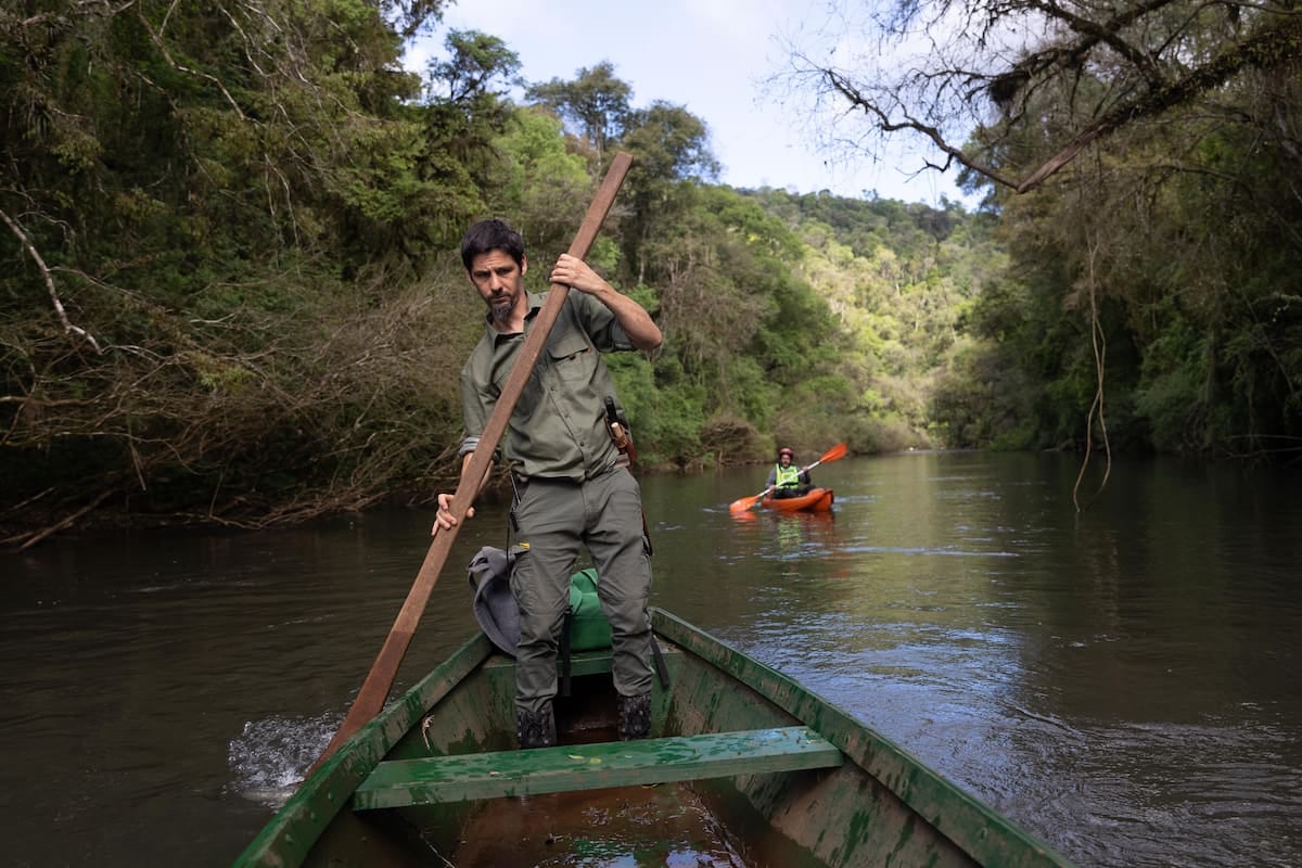 Selva adentro: dos o tres días para dejarse envolver por el arroyo Paraíso en la reserva Margay