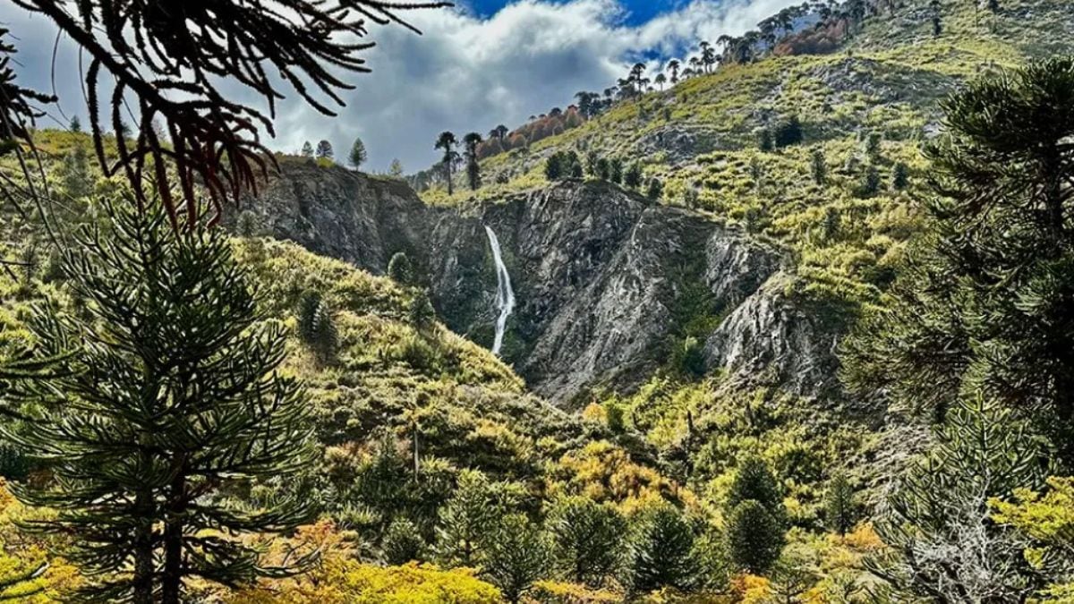 Una seña por un lote en Pulmarí puede terminar en pesadilla: la advertencia que nadie debería pasar por alto