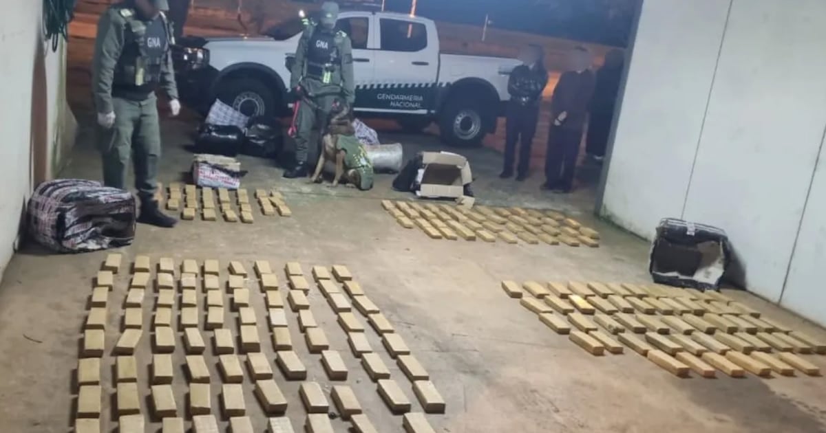 Secuestran más de 142 kilos de marihuana en un colectivo que cubría la ruta Iguazú-Buenos Aires