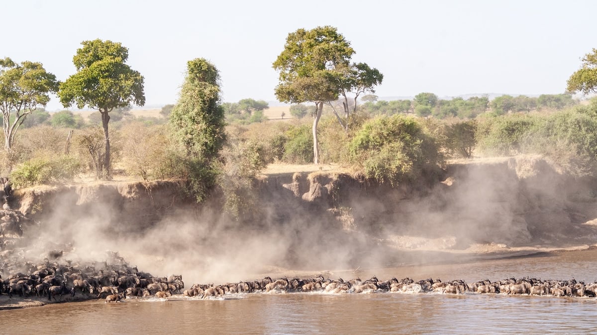 El norte de Tanzania, un mosaico de sabanas, cráteres y aldeas que se recorre con tiempo y paciencia