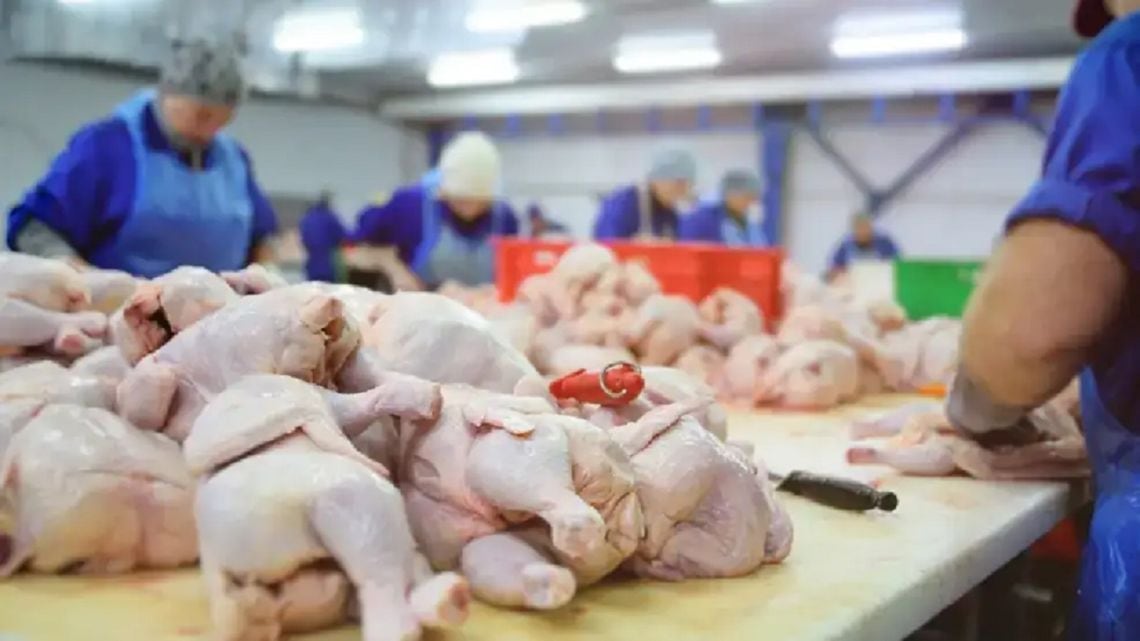 Por primera vez, el pollo desplazó a la carne vacuna del primer puesto en la mesa argentina