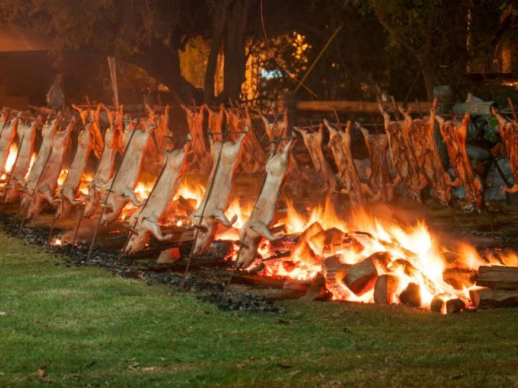 El feriado largo sale a la ruta: cinco fiestas para recorrer la provincia de Buenos Aires entre sabores, tradiciones y música al aire libre