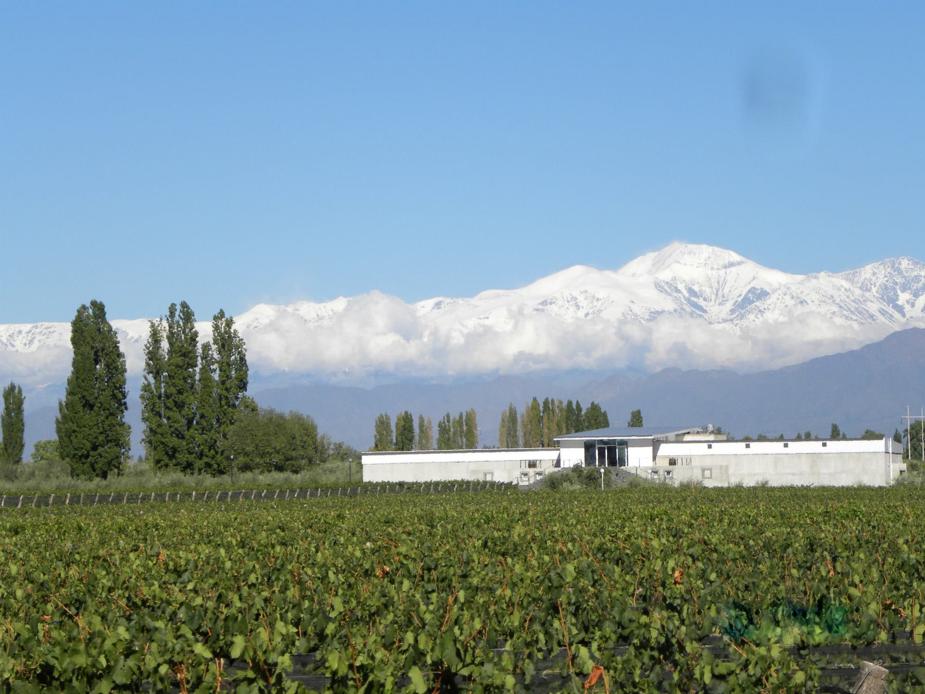 Chacras de Coria, el pueblo mendocino que dejó de ser parada y se volvió destino