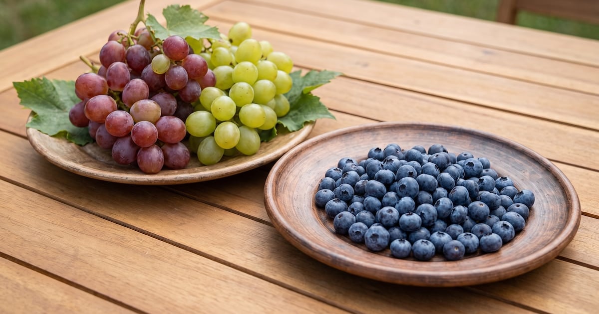 Arándanos o uvas: la pulseada por la glucosa se gana con fibra, no con fama
