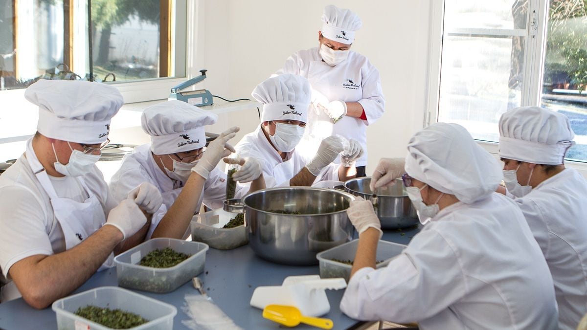 De la chacra al podio inglés: las mermeladas patagónicas que conmovieron al Reino Unido