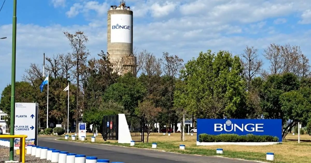 Campana: cesa la producción de dos insumos para fertilizantes y despiden a 110 trabajadores