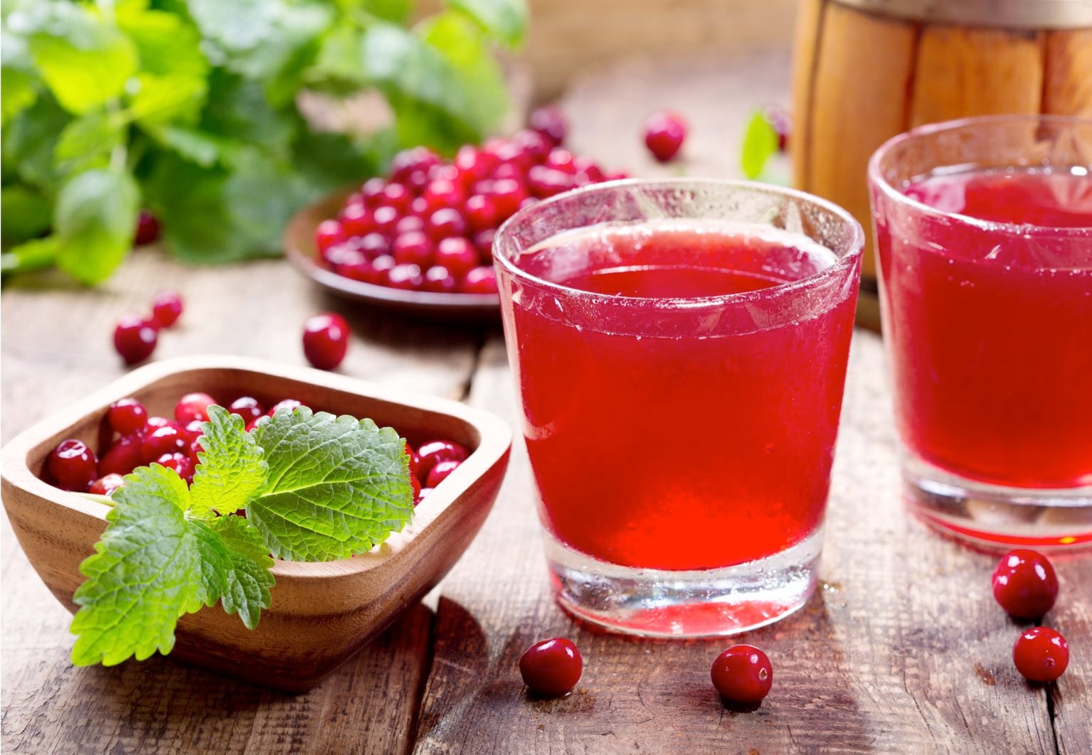 Jugo de arándanos: el secreto para un cuerpo y mente saludables