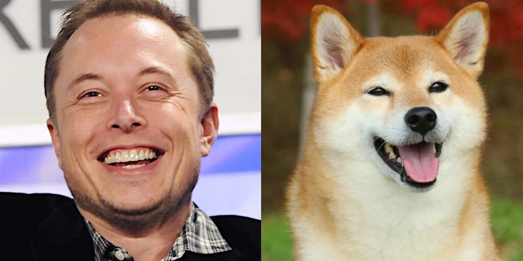 Elon Musk se retracta y DOGE responde con alza