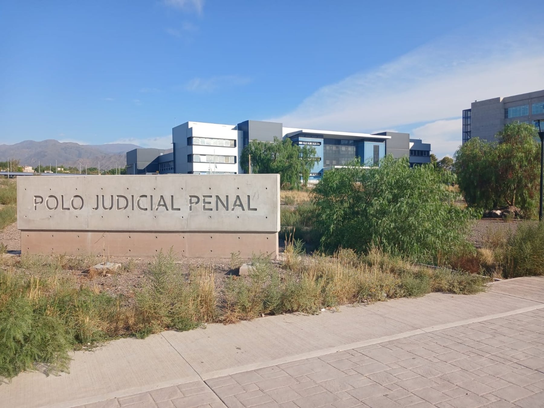 Le disparó al hermano por robarle marihuana: fue condenada, pero seguirá en libertad