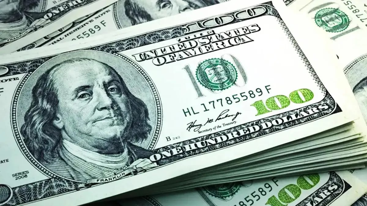 Dólar blue en Neuquén: a cuánto se comercializa este lunes 20 de enero de 2025