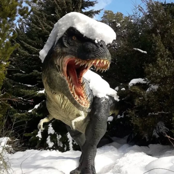 Experiencia Mágica: Descubre Dinosaurios Gigantes y Nieve en Bariloche