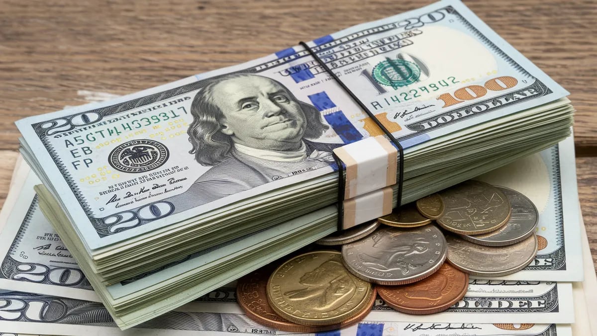 A cuánto se comercializa este lunes 27 de enero el Dólar blue en Neuquén