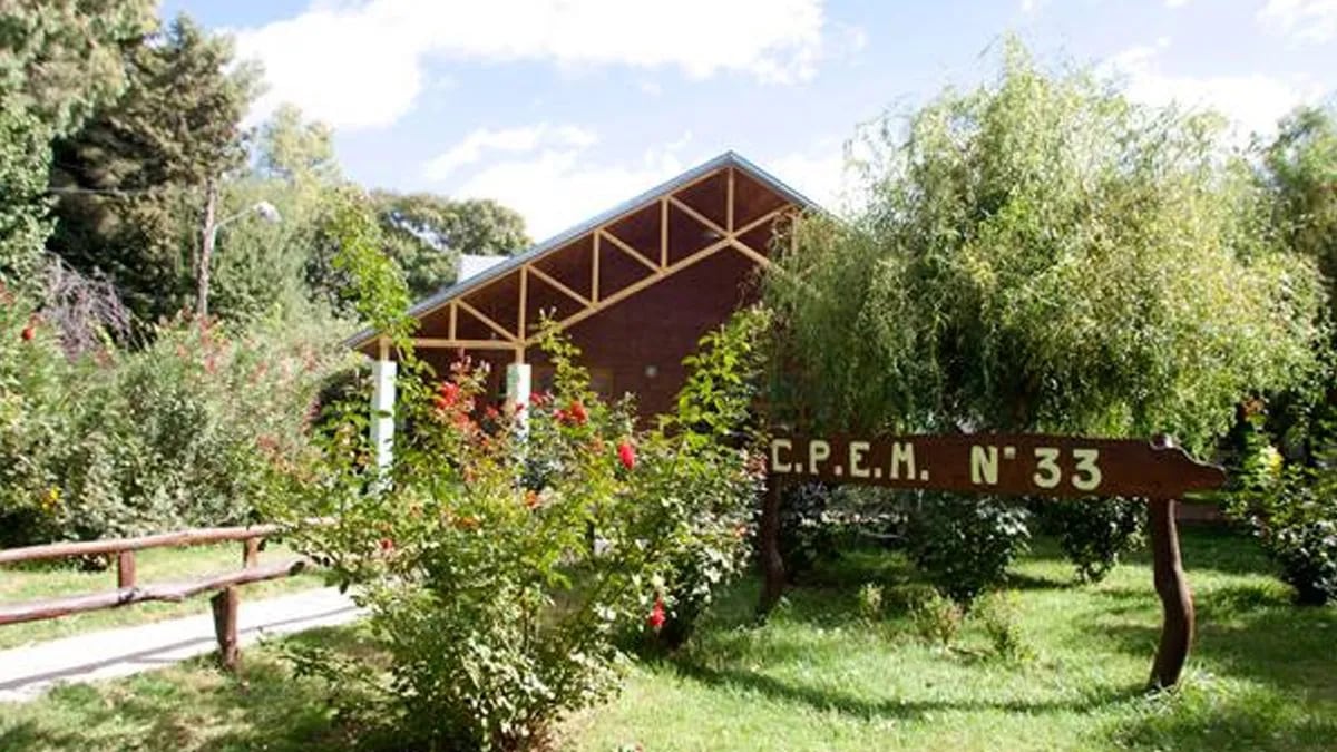 Neuquén: adolescente ingresó armado a un colegio con apoyo de su madre