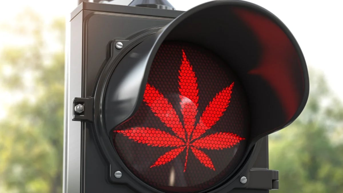 El mayor estudio hasta la fecha alerta sobre los efectos del cannabis en la memoria.