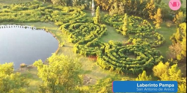El laberinto de bambú de San Antonio de Areco que se puede visitar sin reserva