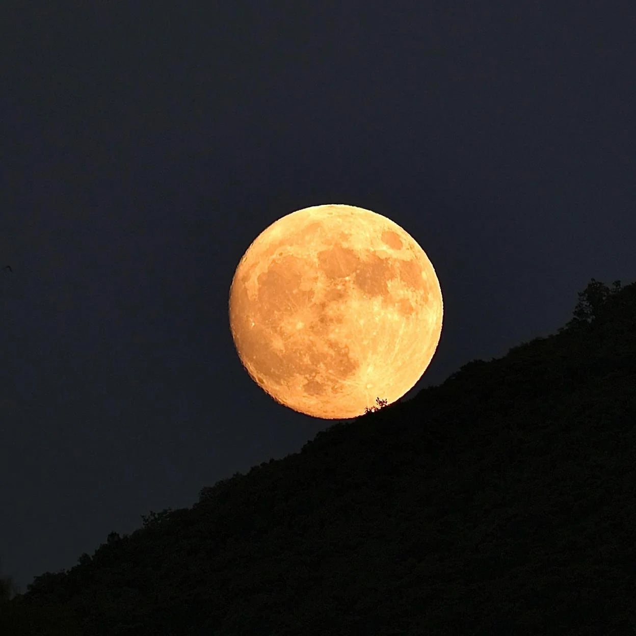 Qué significa soñar con la Luna, según la psicología
