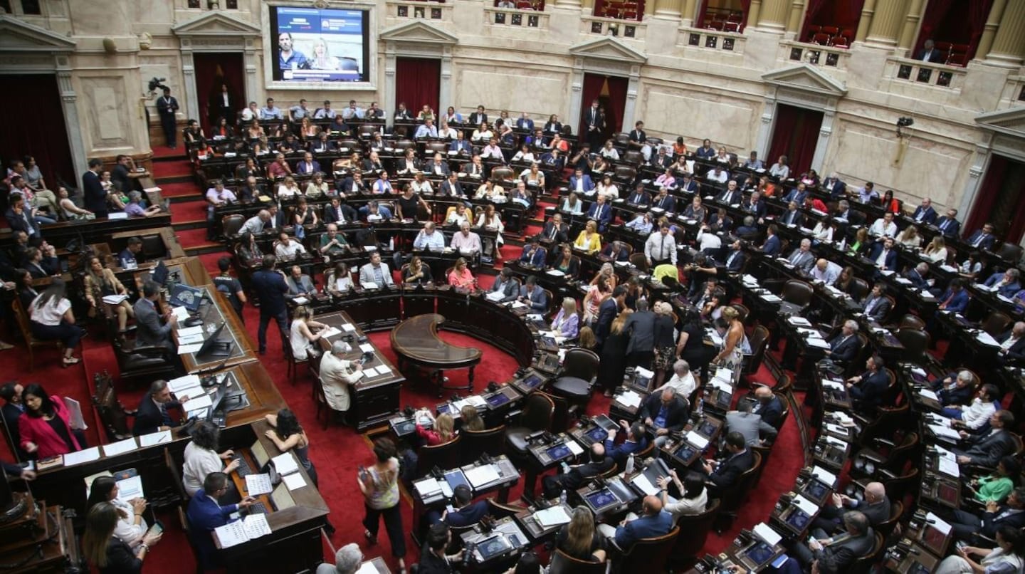 Diputados debate la suspensión de las PASO en una sesión clave