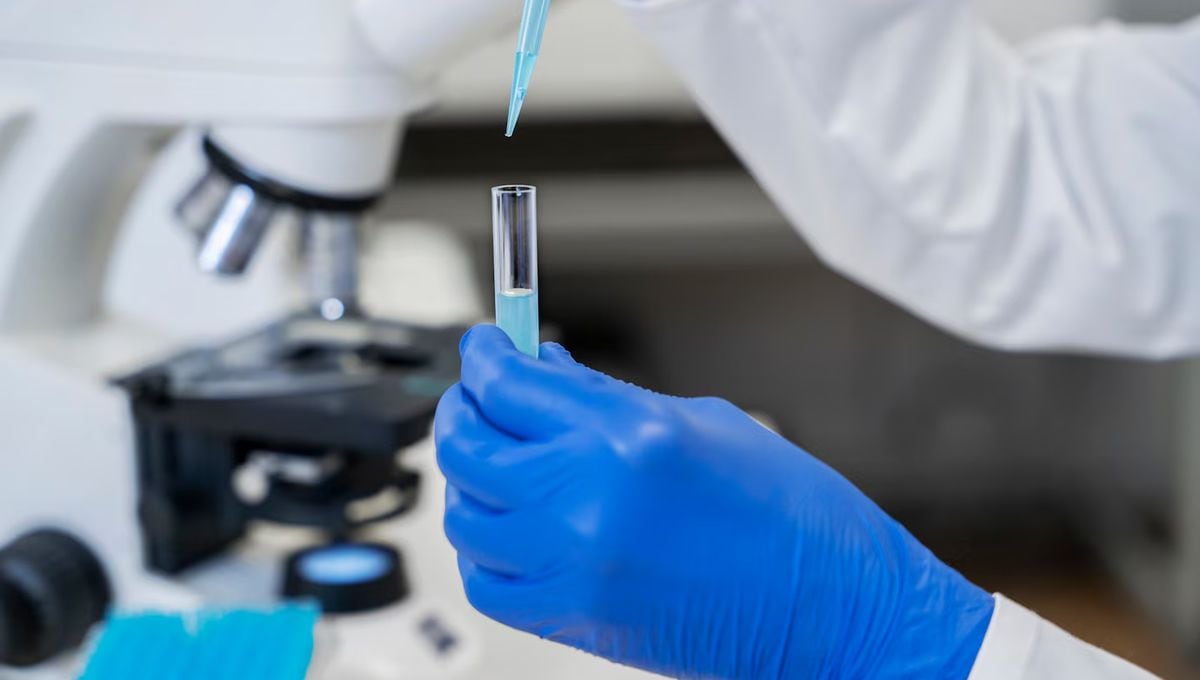 Avance médico: Harvard y MIT prueban una vacuna contra el cáncer de riñón