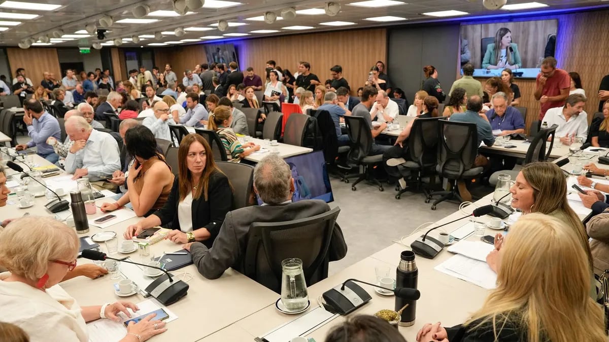 El Congreso avanza: Diputados debatirá Ficha Limpia el miércoles