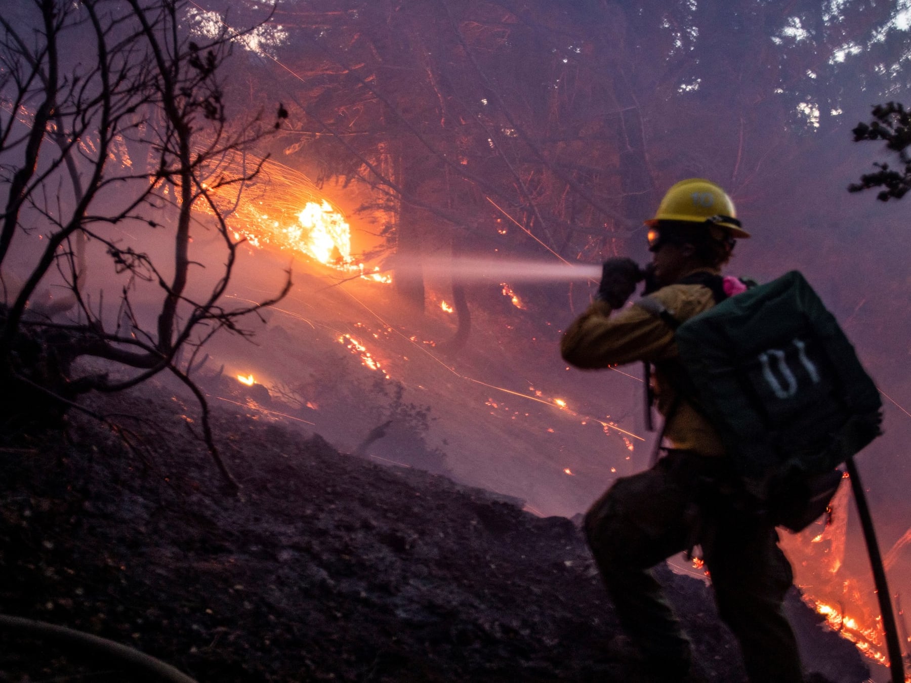 Jornada de marchas en Neuquén y Río Negro contra los incendios: ¿a qué hora serán?
