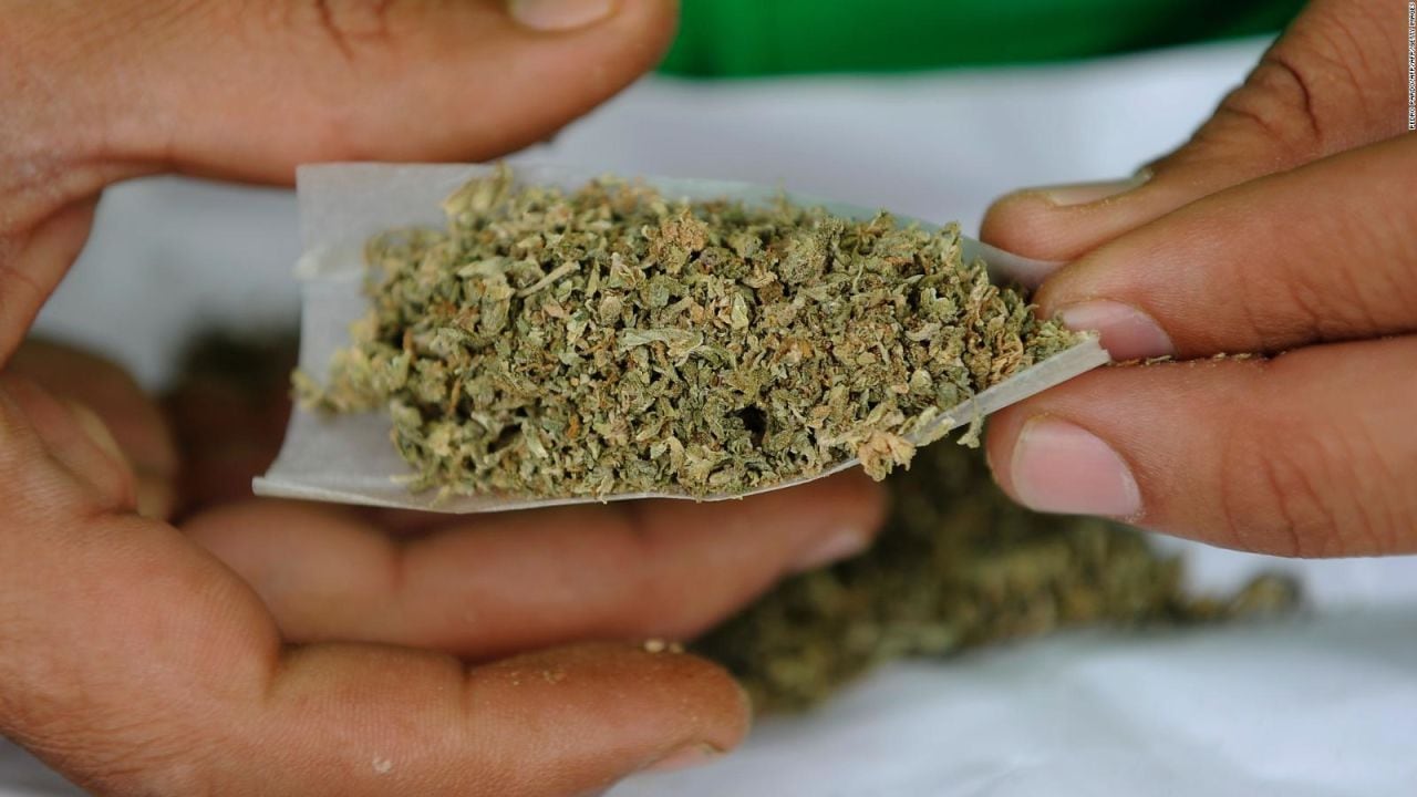 Marihuana en la mira: qué dice la ciencia sobre el impacto en el corazón del consumo habitual de cannabis