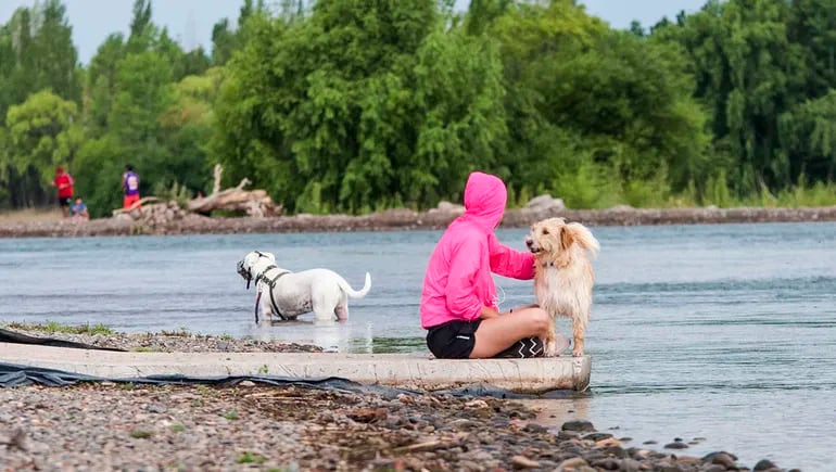 Quieren crear playas para perros en las costas de ríos y lagos neuquinos