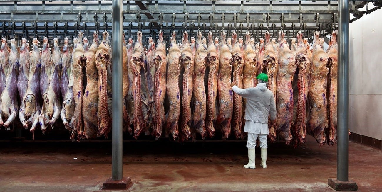 Aumento del consumo de carne y boom inmobiliario marcan el crecimiento de la región en 2024