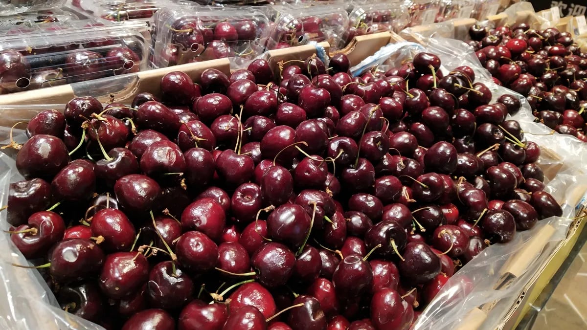 Exportaciones de cerezas argentinas alcanzan su máximo histórico