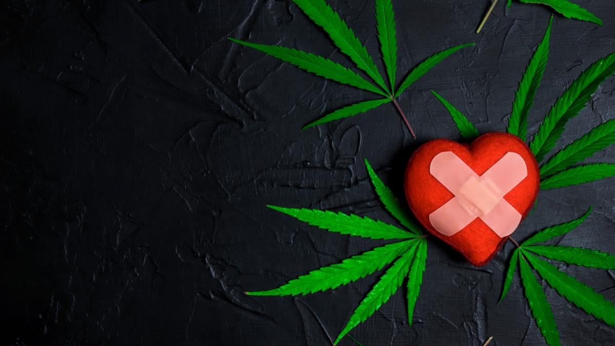 Estudio advierte: fumar marihuana aumenta significativamente el riesgo de infarto y ACV