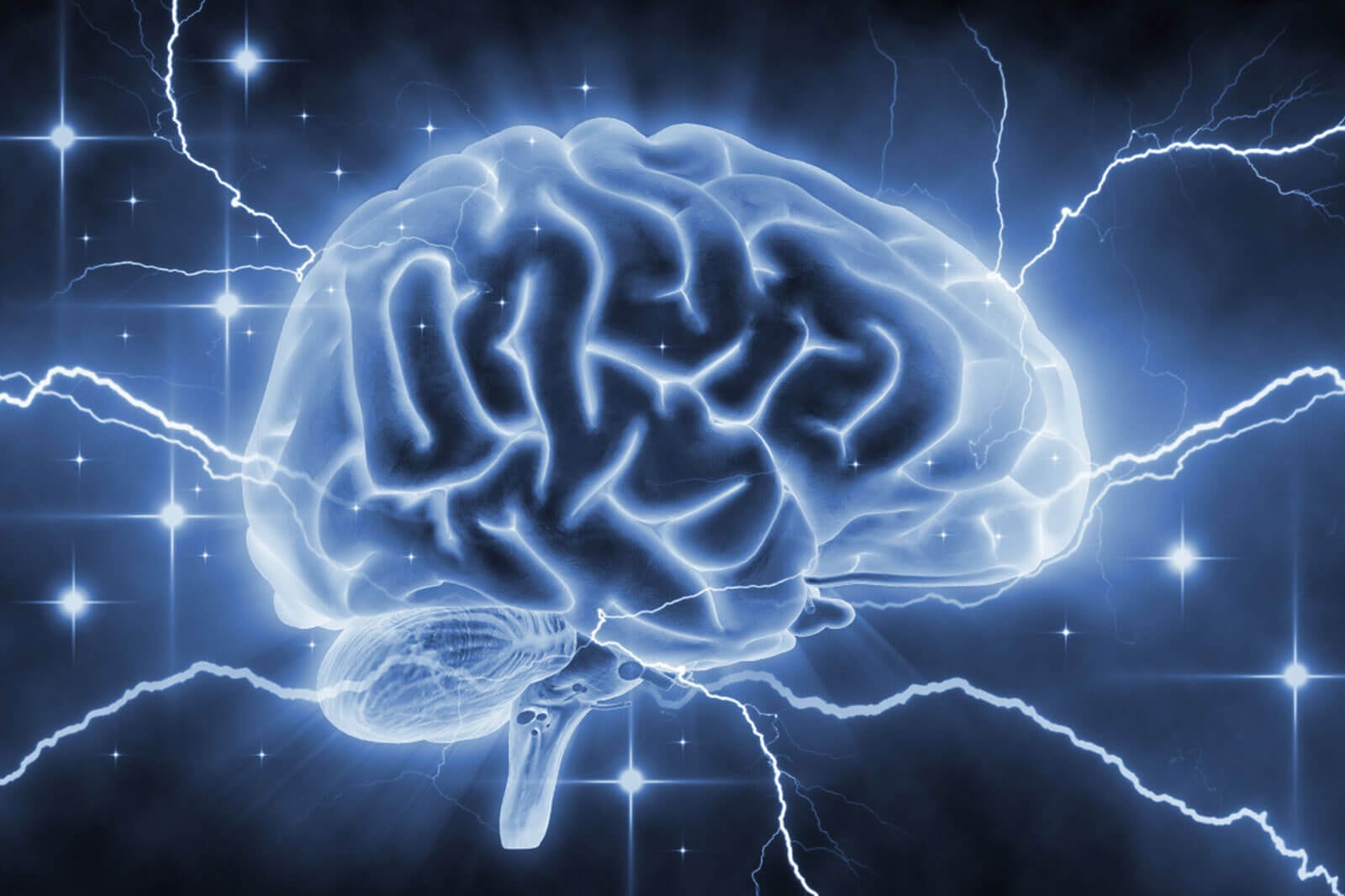 Día Mundial de la Epilepsia: síntomas a tener en cuenta y cómo reaccionar