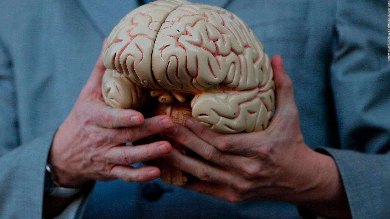 10 Simples Prácticas que Podrían Prevenir la Demencia y el Deterioro Cognitivo