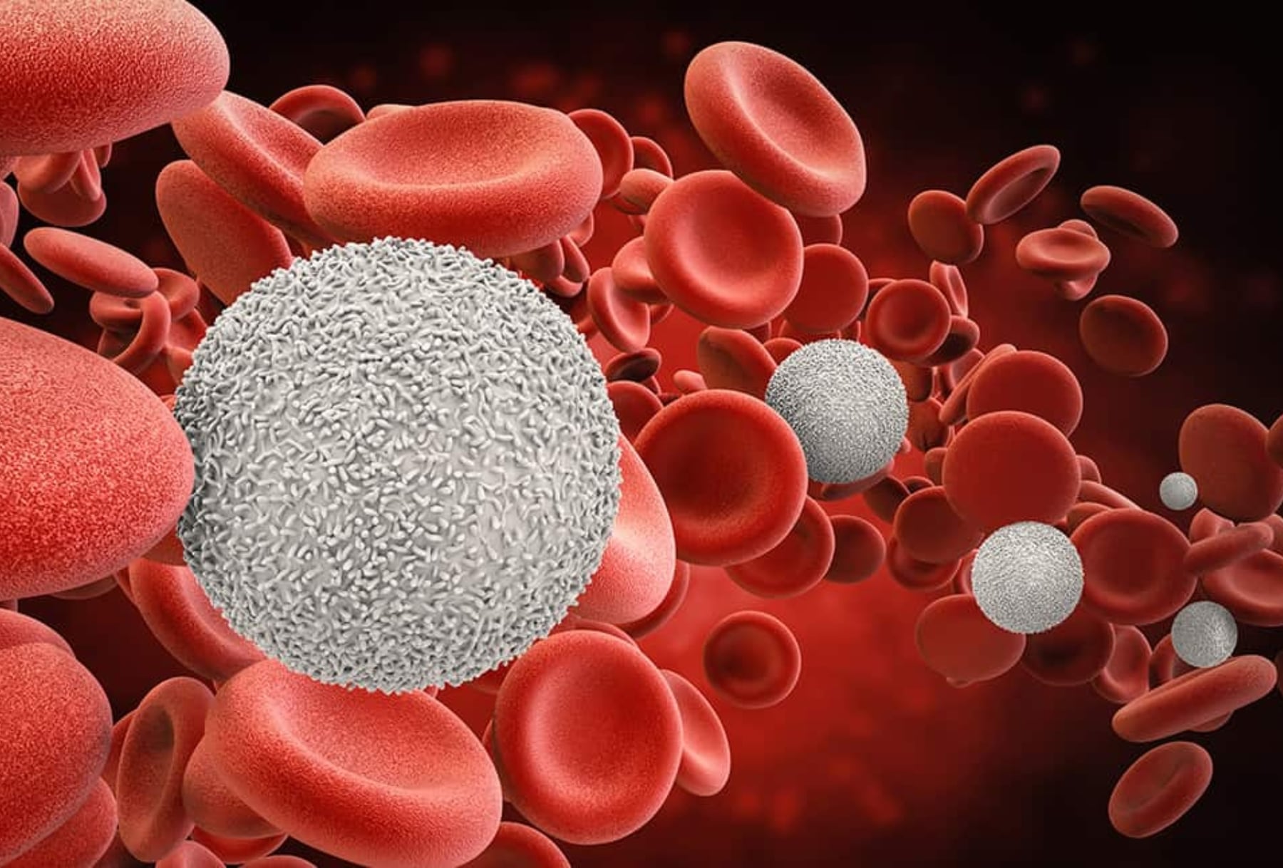 Día Mundial del Cáncer de Sangre: presentan innovaciones en la lucha contra la leucemia mieloide crónica